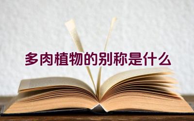 多肉植物的别称是什么插图 多肉植物的别称是什么插图