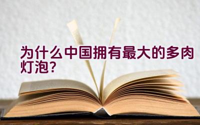 为什么中国拥有最大的多肉灯泡?插图 为什么中国拥有最大的多肉灯泡?插图