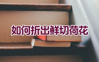 如何折出鲜切荷花插图 如何折出鲜切荷花插图