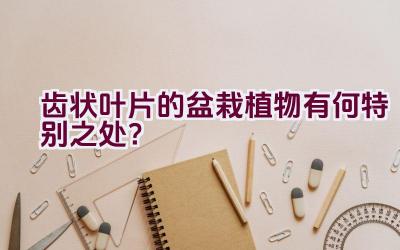 齿状叶片的盆栽植物有何特别之处?插图 齿状叶片的盆栽植物有何特别之处?插图