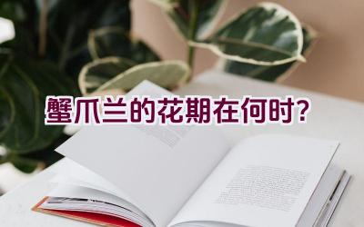 蟹爪兰的花期在何时？插图