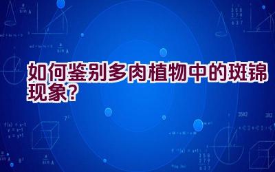 如何鉴别多肉植物中的斑锦现象?插图 如何鉴别多肉植物中的斑锦现象?插图