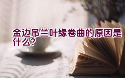 金边吊兰叶缘卷曲的原因是什么?插图 金边吊兰叶缘卷曲的原因是什么?插图