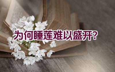 为何睡莲难以盛开?插图 为何睡莲难以盛开?插图