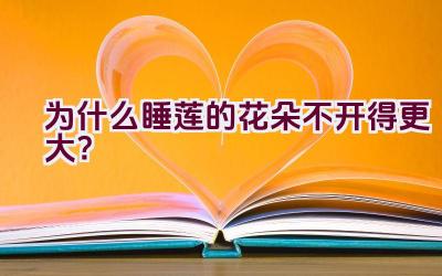 为什么睡莲的花朵不开得更大?插图 为什么睡莲的花朵不开得更大?插图