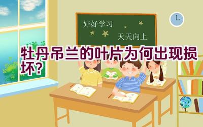 牡丹吊兰的叶片为何出现损坏?插图 牡丹吊兰的叶片为何出现损坏?插图