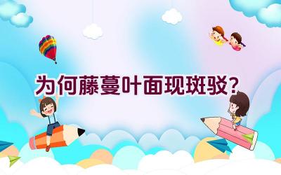 为何藤蔓叶面现斑驳?插图 为何藤蔓叶面现斑驳?插图