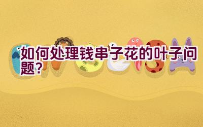 如何处理钱串子花的叶子问题?插图 如何处理钱串子花的叶子问题?插图