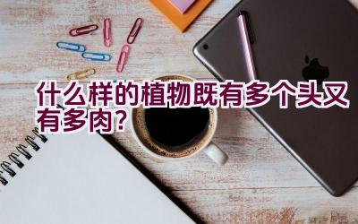 什么样的植物既有多个头又有多肉?插图 什么样的植物既有多个头又有多肉?插图