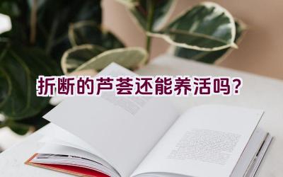 折断的芦荟还能养活吗?插图 折断的芦荟还能养活吗?插图