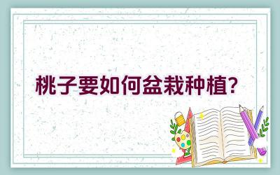 桃子要如何盆栽种植?插图 桃子要如何盆栽种植?插图