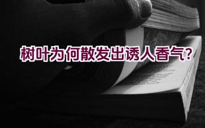 树叶为何散发出诱人香气?插图 树叶为何散发出诱人香气?插图