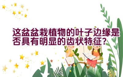 这盆盆栽植物的叶子边缘是否具有明显的齿状特征?插图 这盆盆栽植物的叶子边缘是否具有明显的齿状特征?插图