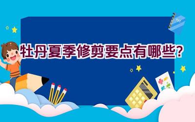 牡丹夏季修剪要点有哪些?插图 牡丹夏季修剪要点有哪些?插图