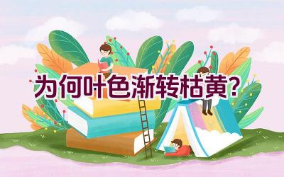 为何叶色渐转枯黄?插图 为何叶色渐转枯黄?插图