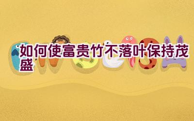 如何使富贵竹不落叶保持茂盛插图 如何使富贵竹不落叶保持茂盛插图