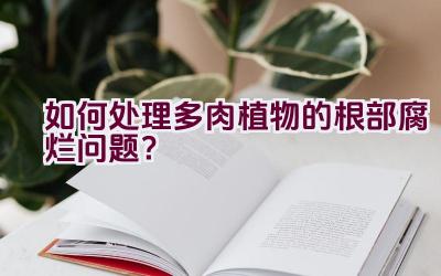 如何处理多肉植物的根部腐烂问题?插图 如何处理多肉植物的根部腐烂问题?插图