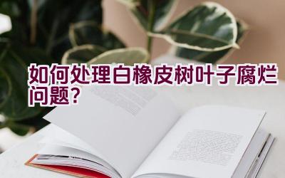 如何处理白橡皮树叶子腐烂问题?插图 如何处理白橡皮树叶子腐烂问题?插图