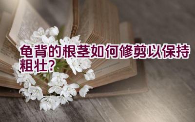 龟背的根茎如何修剪以保持粗壮?插图 龟背的根茎如何修剪以保持粗壮?插图