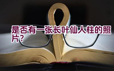 是否有一张长叶仙人柱的照片?插图 是否有一张长叶仙人柱的照片?插图