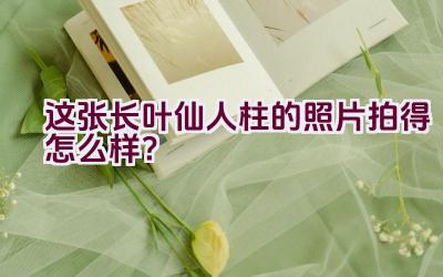 这张长叶仙人柱的照片拍得怎么样?插图 这张长叶仙人柱的照片拍得怎么样?插图