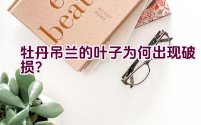 牡丹吊兰的叶子为何出现破损？插图