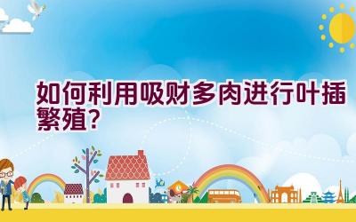 如何利用吸财多肉进行叶插繁殖?插图 如何利用吸财多肉进行叶插繁殖?插图