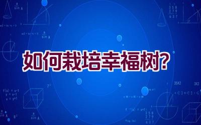 如何栽培幸福树?插图 如何栽培幸福树?插图