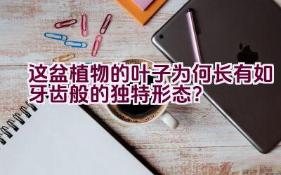 这盆植物的叶子为何长有如牙齿般的独特形态?插图 这盆植物的叶子为何长有如牙齿般的独特形态?插图