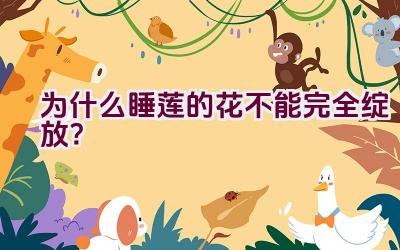 为什么睡莲的花不能完全绽放?插图 为什么睡莲的花不能完全绽放?插图