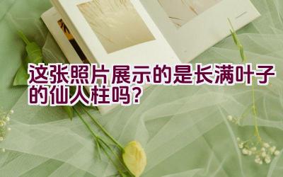 这张照片展示的是长满叶子的仙人柱吗?插图 这张照片展示的是长满叶子的仙人柱吗?插图