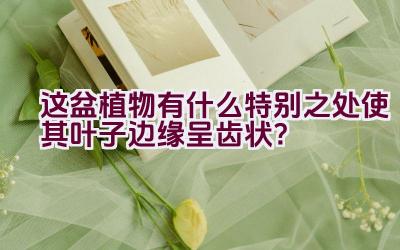 这盆植物有什么特别之处使其叶子边缘呈齿状?插图 这盆植物有什么特别之处使其叶子边缘呈齿状?插图