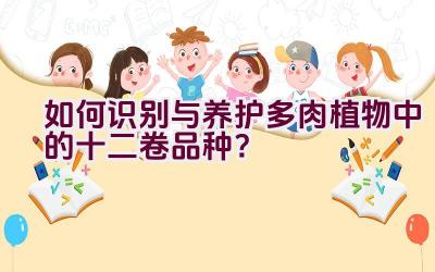 “如何识别与养护多肉植物中的十二卷品种？”插图