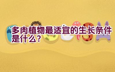 多肉植物最适宜的生长条件是什么?插图 多肉植物最适宜的生长条件是什么?插图