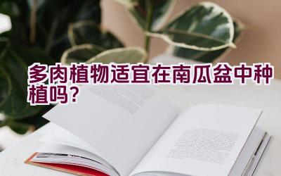 多肉植物适宜在南瓜盆中种植吗?插图 多肉植物适宜在南瓜盆中种植吗?插图