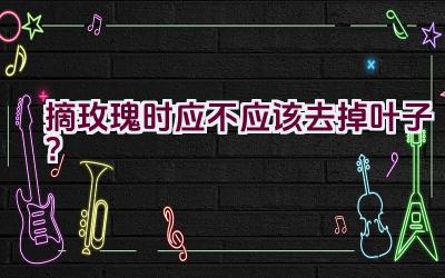 摘玫瑰时应不应该去掉叶子?插图 摘玫瑰时应不应该去掉叶子?插图