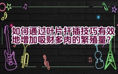 如何通过叶片扦插技巧有效地增加吸财多肉的繁殖量?插图 如何通过叶片扦插技巧有效地增加吸财多肉的繁殖量?插图