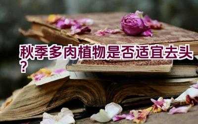 秋季多肉植物是否适宜去头?插图 秋季多肉植物是否适宜去头?插图