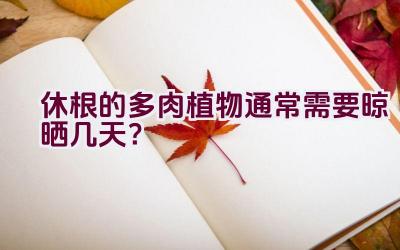 休根的多肉植物通常需要晾晒几天?插图 休根的多肉植物通常需要晾晒几天?插图