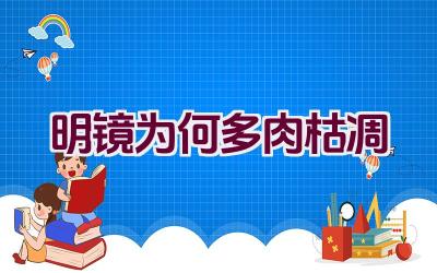明镜为何多肉枯凋插图 明镜为何多肉枯凋插图