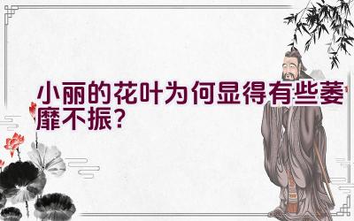 小丽的花叶为何显得有些萎靡不振?插图 小丽的花叶为何显得有些萎靡不振?插图