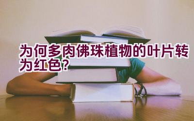 为何多肉佛珠植物的叶片转为红色?插图 为何多肉佛珠植物的叶片转为红色?插图