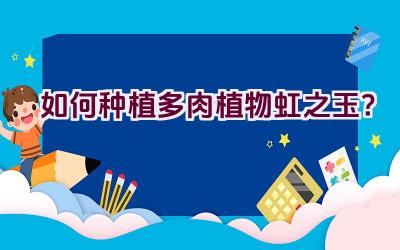 如何种植多肉植物虹之玉？插图