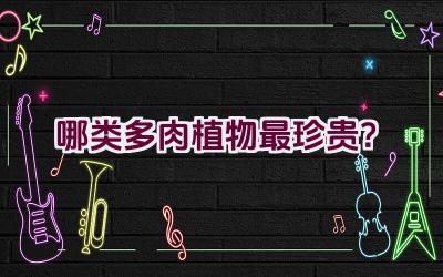 哪类多肉植物最珍贵?插图 哪类多肉植物最珍贵?插图