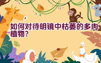 如何对待明镜中枯萎的多肉植物?插图 如何对待明镜中枯萎的多肉植物?插图