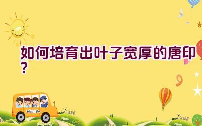 如何培育出叶子宽厚的唐印?插图 如何培育出叶子宽厚的唐印?插图