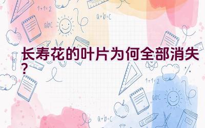 长寿花的叶片为何全部消失?插图 长寿花的叶片为何全部消失?插图