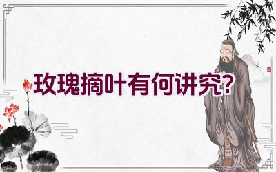 玫瑰摘叶有何讲究?插图 玫瑰摘叶有何讲究?插图