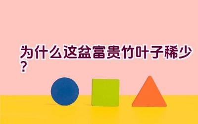 为什么这盆富贵竹叶子稀少?插图 为什么这盆富贵竹叶子稀少?插图