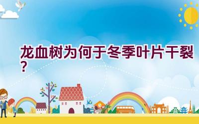 龙血树为何于冬季叶片干裂?插图 龙血树为何于冬季叶片干裂?插图